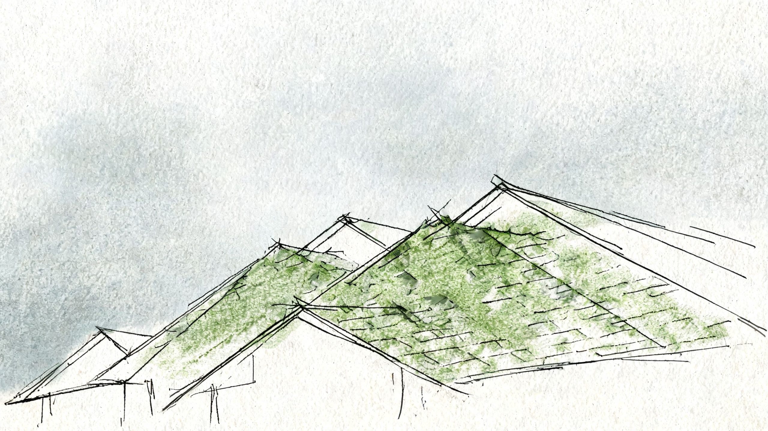 A pencil and watercolor sketch showing a residential roof covered in patches of green moss.